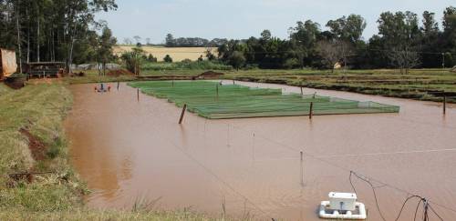 Seguro aquícola: custo extra ou insumo importante?