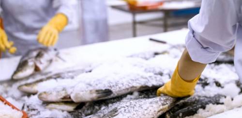 SIF, SIE, SIM, SISBI-POA: Quais as diferenças nos serviços de inspeção