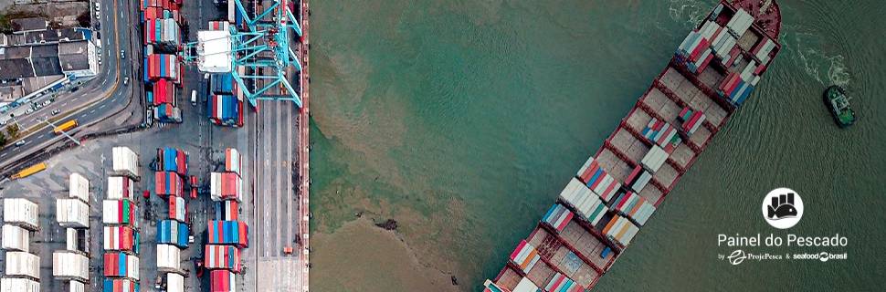 Exportação de tilápia tem queda no 1º semestre de 2023