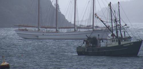 SAP/Mapa aprova Plano para retomada da pesca de arrasto no RS