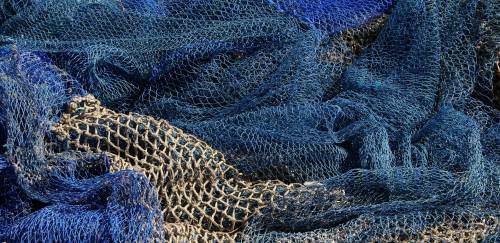 O longo caminho até a retomada dos Comitês de Gestão da Pesca