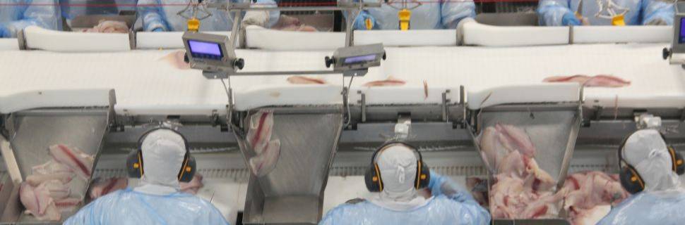 >MAPA propõe flexibilização para inovação em aditivos e coadjuvantes MAPA propõe flexibilização para inovação em aditivos e coadjuvantes