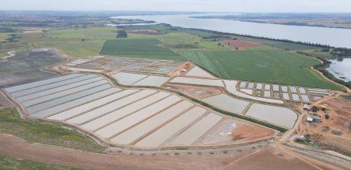 A expansão da GTFoods e a liderança do PR na produção de tilápias A expansão da GTFoods e a liderança do PR na produção de tilápias