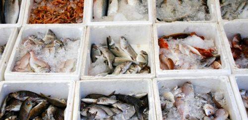 Devemos nos preocupar com a presença de arsênio no pescado? – Pt. 02