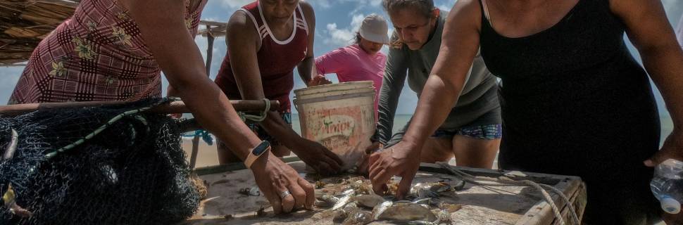 Alimentos azuis: oportunidade de melhoria com menos impacto ambiental