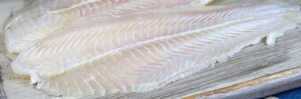 Primeiro frigorífico de panga das Américas é inaugurado no Brasil Primeiro frigorífico de panga das Américas é inaugurado no Brasil