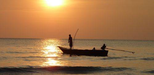 Recursos e desenvolvimento do setor pesqueiro: a 43ª reunião do CONAPE