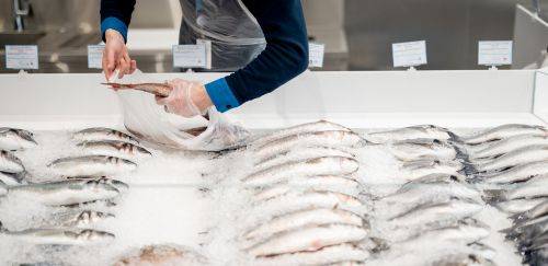 Um conselho para vender o seu peixe Um conselho para vender o seu peixe