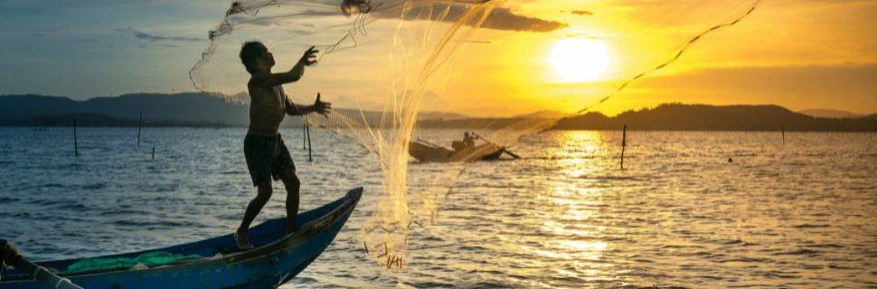 MPA lança boletim com diagnóstico atualizado da atividade pesqueira