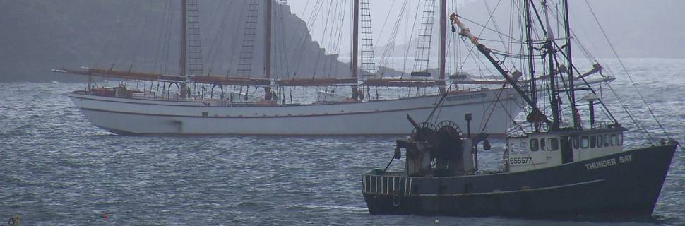 SAP/Mapa aprova Plano para retomada da pesca de arrasto no RS