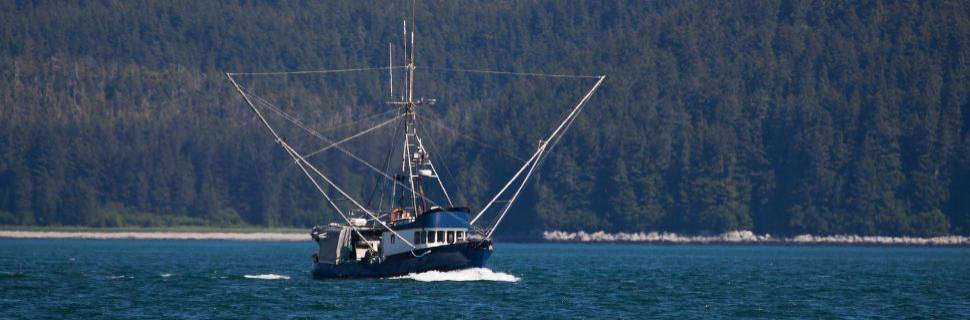 Indústria dos EUA e UE pede tempo e flexibilidade no sistema CATCH