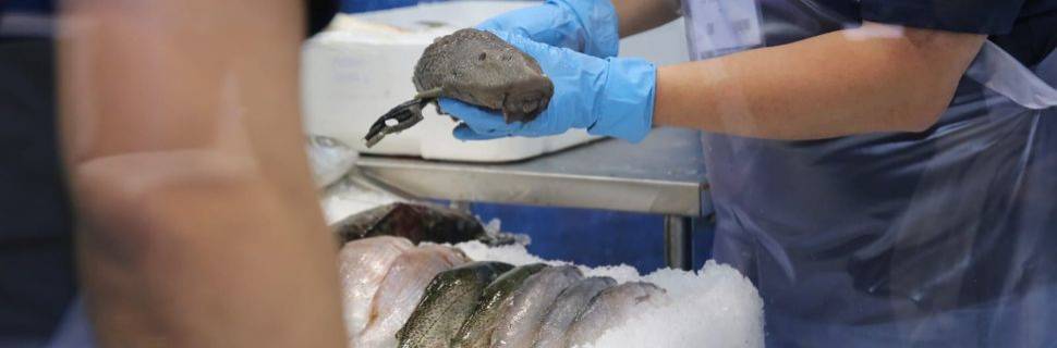 Inscrições abertas para o Prêmio Melhores Peixeiros do Brasil Inscrições abertas para o Prêmio Melhores Peixeiros do Brasil