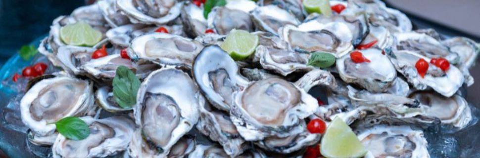 Ostras do Cabaraquara (PR) recebem selo de Indicação Geográfica