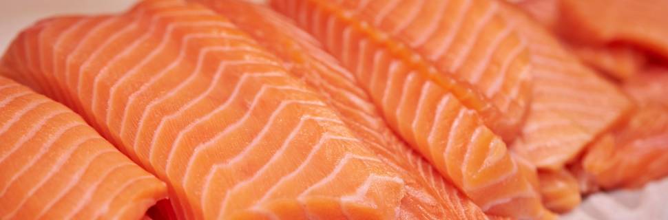 Importações de salmões e trutas pelo Brasil permanecem em alta