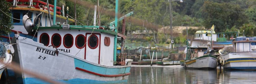 Oceana: pescadores comemoram suspensão de arrasto no RS