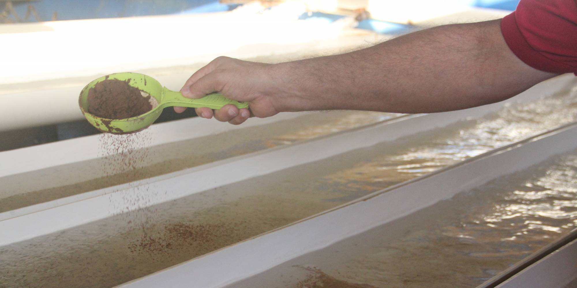 Produção de ração para aquicultura avança 2,8% em 2023 Produção de ração para aquicultura avança 2,8% em 2023