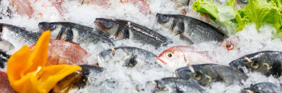 >MPA e MAPA oficializam Nota Fiscal como documento de origem MPA e MAPA oficializam Nota Fiscal como documento de origem