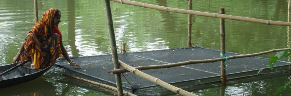 >Especial Sofia 2020: Consumo mundial chega a 20,5 kg per capita/ano Especial Sofia 2020: Consumo mundial chega a 20,5 kg per capita/ano