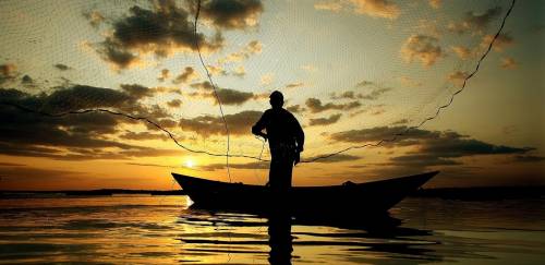 Especial Sofia 2020: Pesca continental e marinha cresce a 96,4 mi de t Especial Sofia 2020: Pesca continental e marinha cresce a 96,4 mi de t