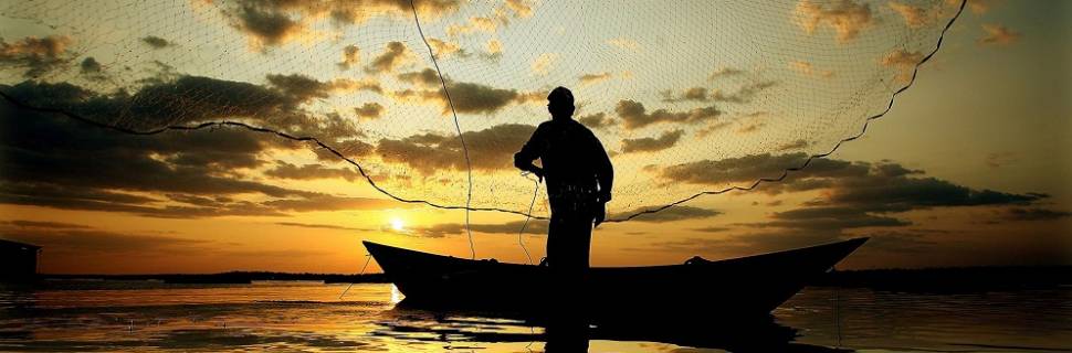 >Especial Sofia 2020: Pesca continental e marinha cresce a 96,4 mi de t Especial Sofia 2020: Pesca continental e marinha cresce a 96,4 mi de t