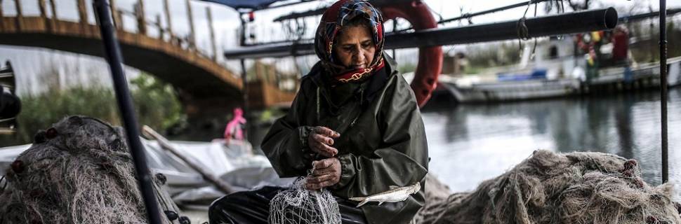 >Especial Sofia 2020: Pescado movimentou US$ 164 bilhões em 2018 Especial Sofia 2020: Pescado movimentou US$ 164 bilhões em 2018