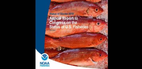 Estoques nos EUA estão em bom estado, diz NOAA