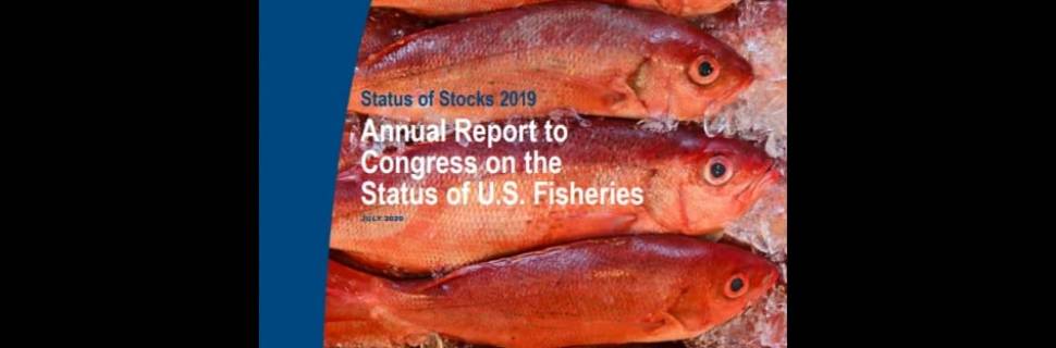 Estoques nos EUA estão em bom estado, diz NOAA