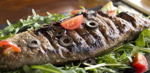 Estudo aponta a importância do marketing no consumo de pescado em SP