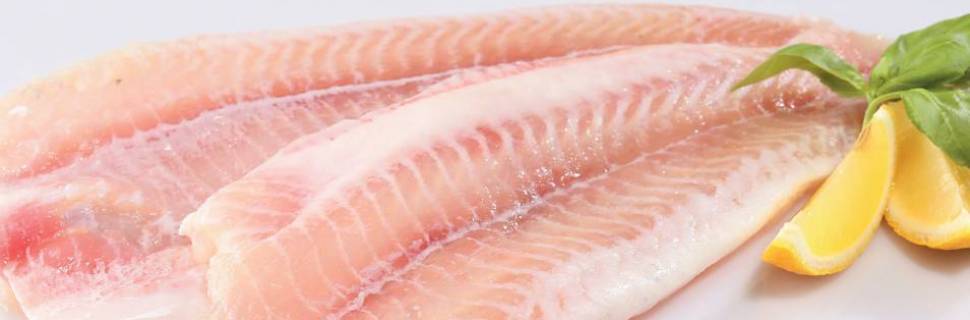 Estudo com ração de mandioca quer produzir panga com menos gordura