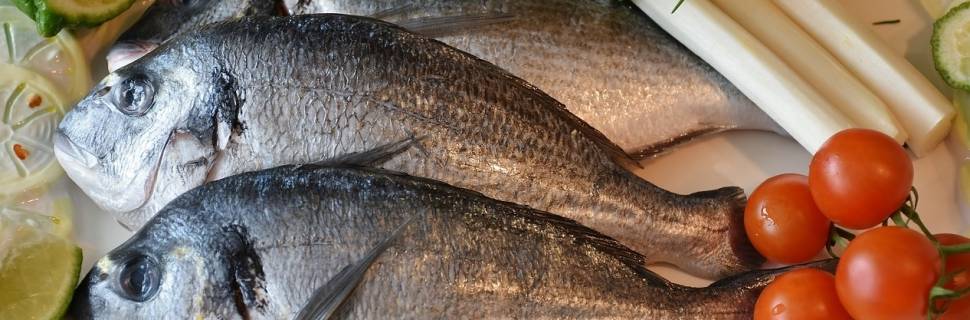 Estudo faz revisão abrangente dos impactos da Covid no pescado dos EUA
