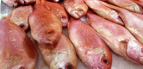 EUA se mantiveram como principal destino de exportações do Brasil