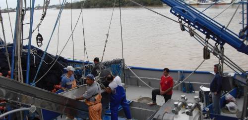 Evisceração a bordo de embarcações pesqueiras - parte I