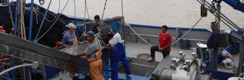 Evisceração a bordo de embarcações pesqueiras - parte I
