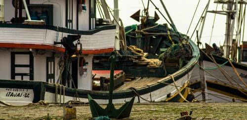 Exportações à União Europeia e as Instruções Normativas n°56 e 57