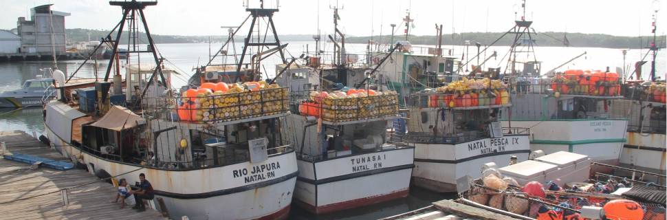 Prorrogação da 310 vai levar adequação de embarcações para 2023