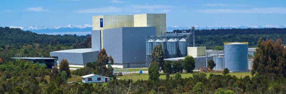 BioMar chega a 1 milhão de toneladas de ração com microalgas