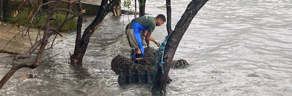 >SC libera financiamento a maricultores atingidos pela “Maré Vermelha” SC libera financiamento a maricultores atingidos pela “Maré Vermelha”