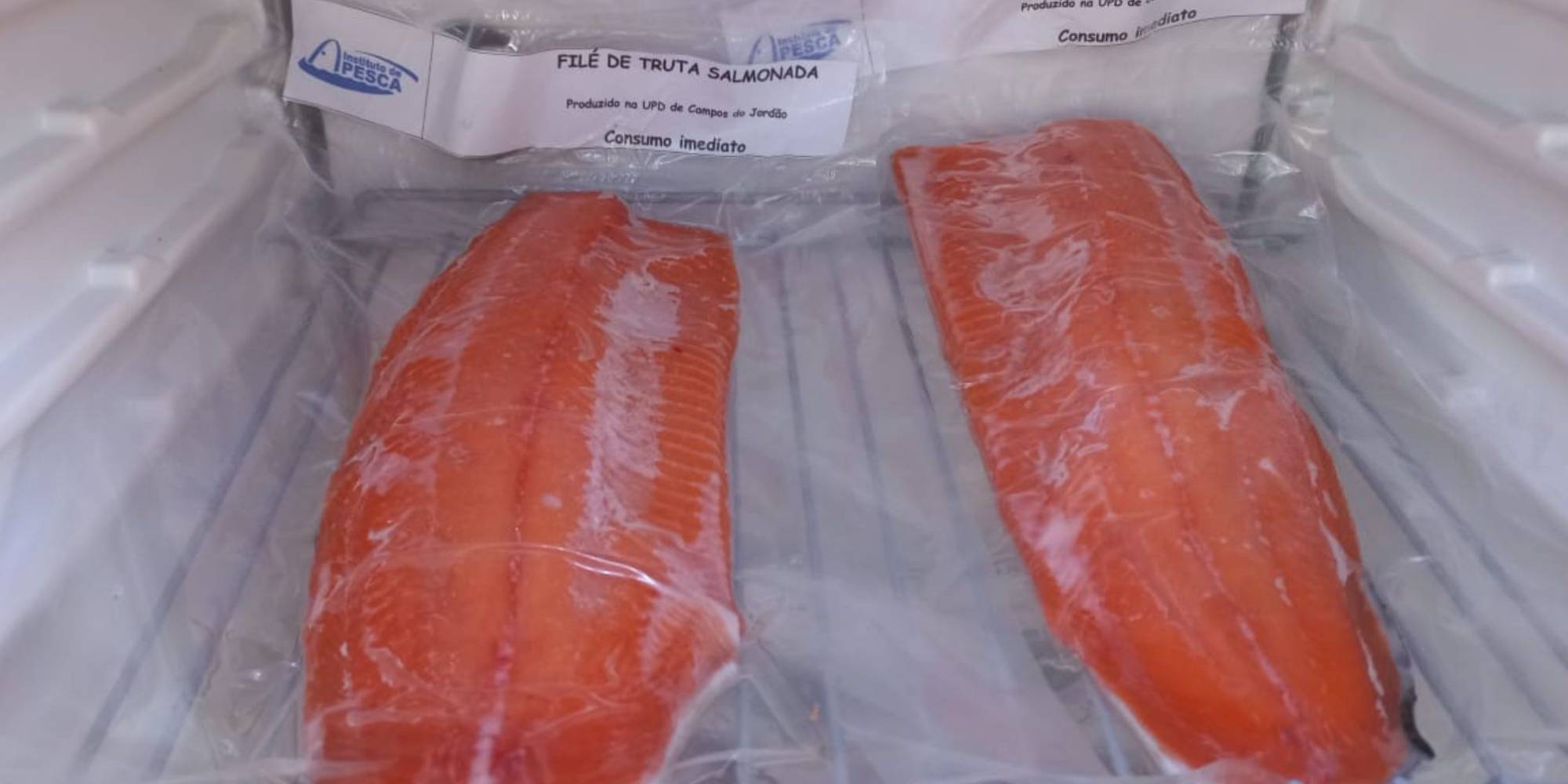 Qualidade e segurança alimentar do pescado – nova abordagem