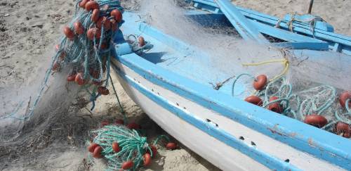 Setor segue com gestão compartilhada após aprovação de MP 
