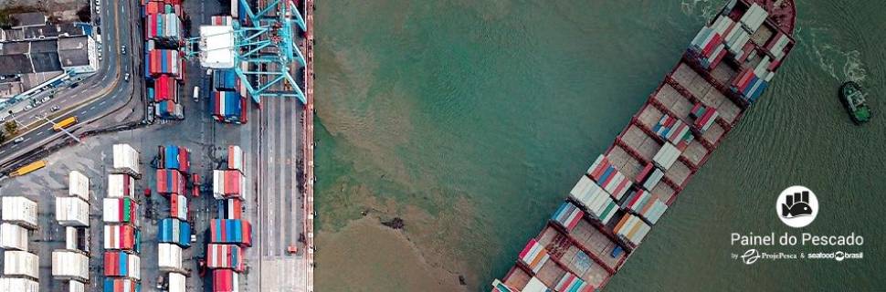 Brasil amplia em quase 60X receita com exportação de polvo no 1º tri