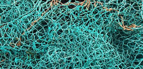 Idam intensifica assistência para regularização do pirarucu manejado