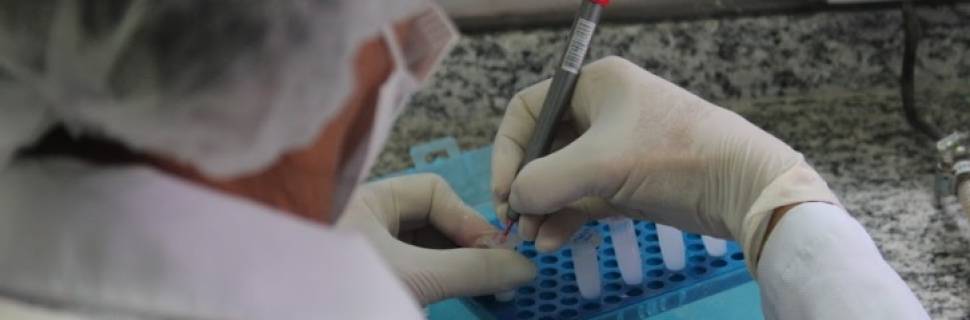 Pós-larvas: genética e metagenômica na aquicultura