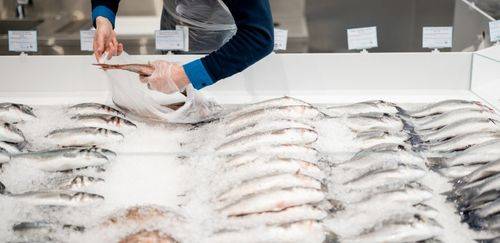 FAO revela fraudes globais em pescado e tecnologias para combate