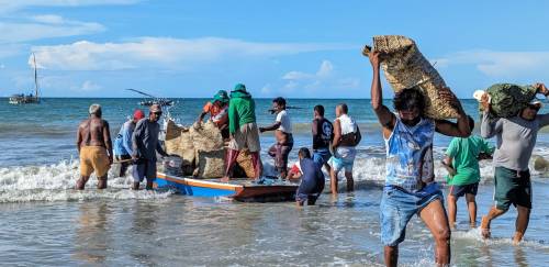 Lagosta: quebra do tabu na captura e modernização da política de pesca Lagosta: quebra do tabu na captura e modernização da política de pesca