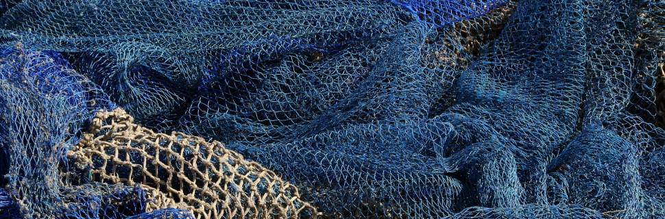 O longo caminho até a retomada dos Comitês de Gestão da Pesca