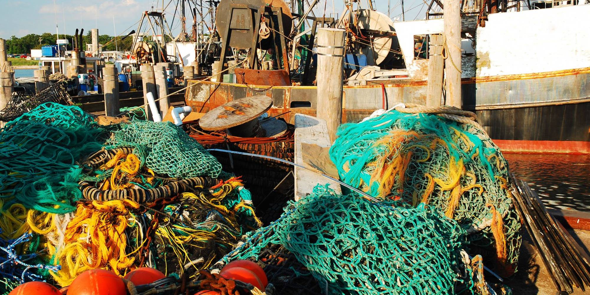 A pesca, a natureza, a biodiversidade e seus respectivos limites A pesca, a natureza, a biodiversidade e seus respectivos limites