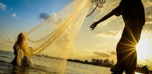 A importância das épocas de defeso e tamanho mínimo de captura