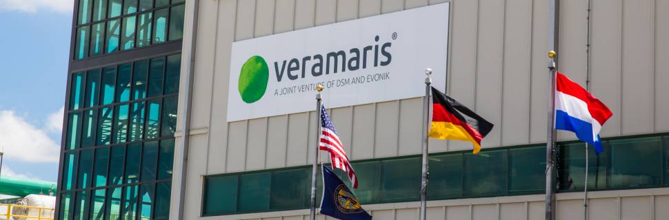 >Fábrica inicia produção de óleo com ácido essencial para salmão Fábrica inicia produção de óleo com ácido essencial para salmão