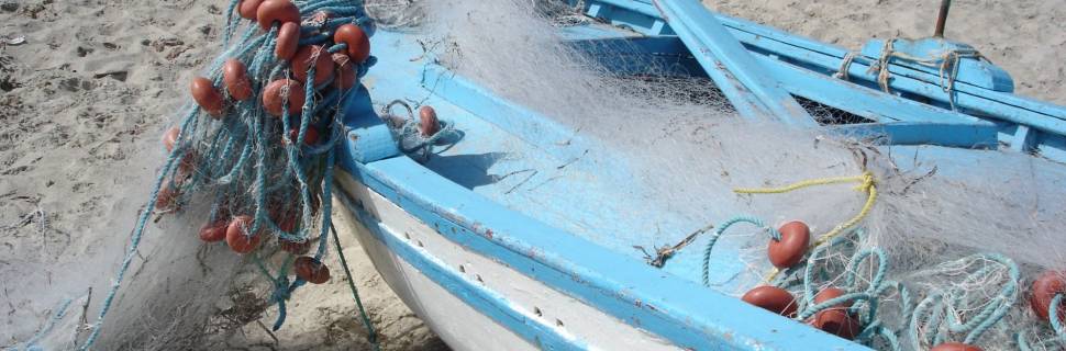 >Setor segue com gestão compartilhada após aprovação de MP Setor segue com gestão compartilhada após aprovação de MP