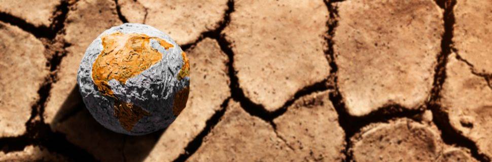 Mudanças climáticas: a COP 29 para a pesca e aquicultura nacional